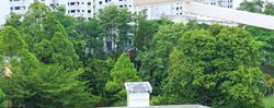 Blk 247 Bukit Batok East Avenue 5 (Bukit Batok), HDB 3 Rooms #203973771